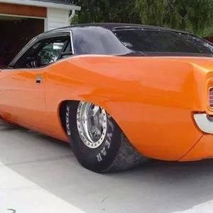 Meet your Posher, Wayne